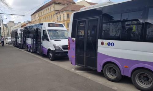 Microbuze școlare în Timiș