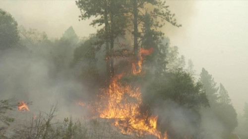 Incendiu, doc, flăcări, incendii de vegetație