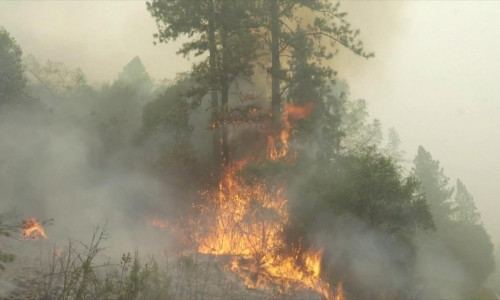Incendiu, doc, flăcări, incendii de vegetație