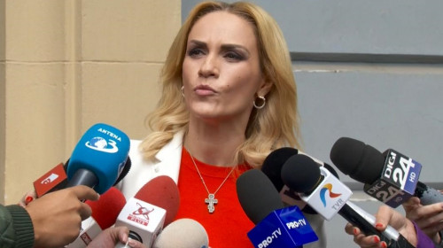 Gabriela Firea cu bot