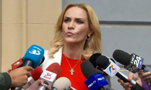 Gabriela Firea cu bot