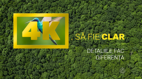 SaFieClar_FB_1200x1200