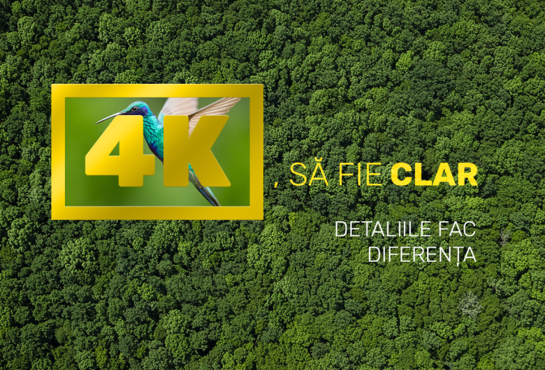 SaFieClar_FB_1200x1200