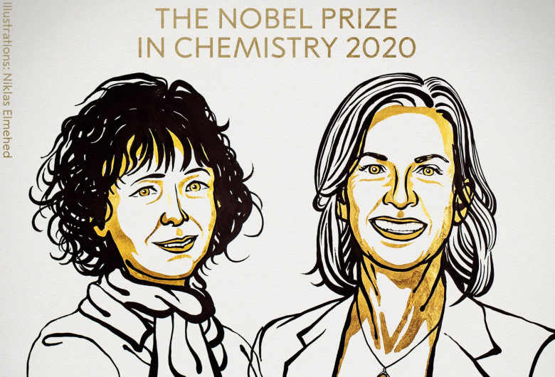 nobel chimie