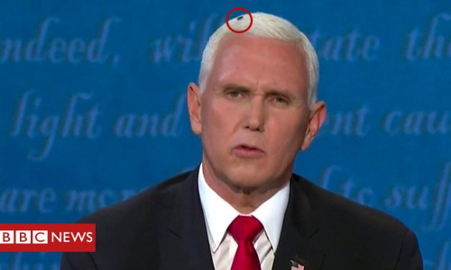 mike pence