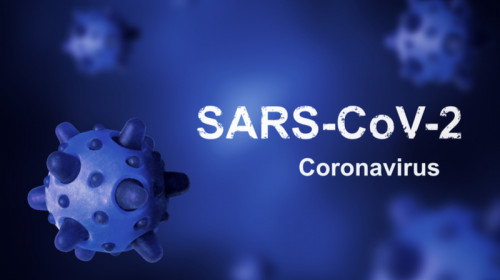SARS-CoV-2, coronavirus, COVID-19