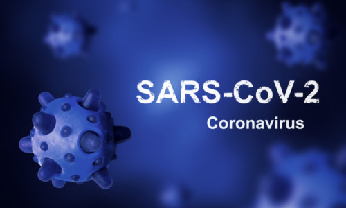 SARS-CoV-2, coronavirus, COVID-19