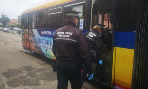 Poliția Locală Timișoara în tramvai, controale în Timiș, transport în comun
