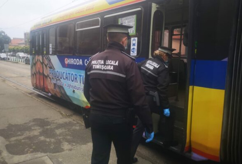Poliția Locală Timișoara în tramvai, controale în Timiș, transport în comun