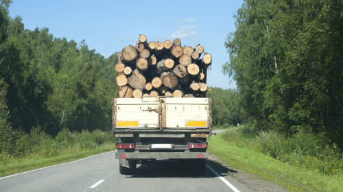 Transport de lemne, pădure, mediu, SUMAL, material lemnos, defrișări