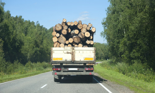 Transport de lemne, pădure, mediu, SUMAL, material lemnos, defrișări