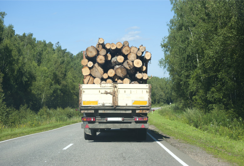 Transport de lemne, pădure, mediu, SUMAL, material lemnos, defrișări