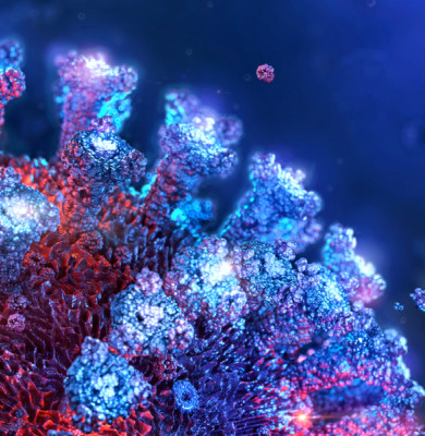 Coronavirus, COVID-19, SARS-CoV-2