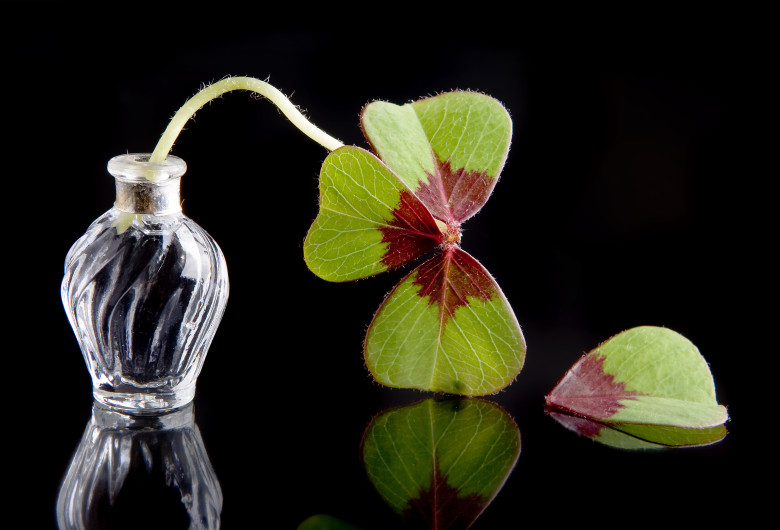 ghinion shutterstock_69028336