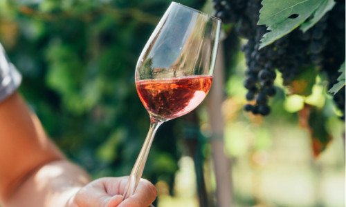 Un pahar de vin, alcool, lângă struguri, băutură