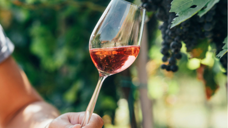 Un pahar de vin, alcool, lângă struguri, băutură