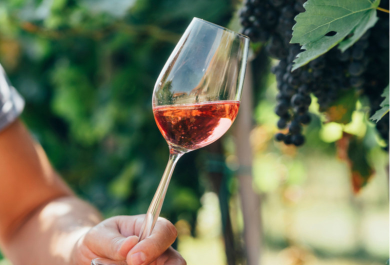 Un pahar de vin, alcool, lângă struguri, băutură