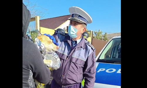 kola kariola