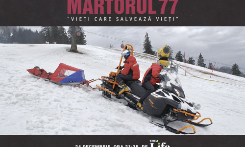 CP_21.12.2020_Martorul_vizual_1 (2)