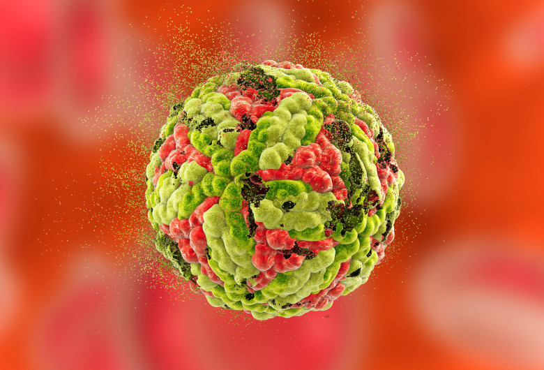 Interferon gamma molecule