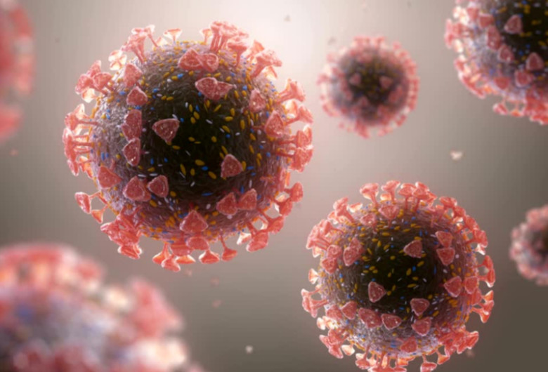 Coronavirus, COVID-19, SARS-CoV-2