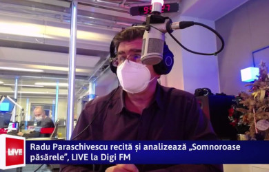 radu paraschivescu