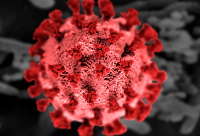 Coronavirus, COVID-19, SARS-CoV-2