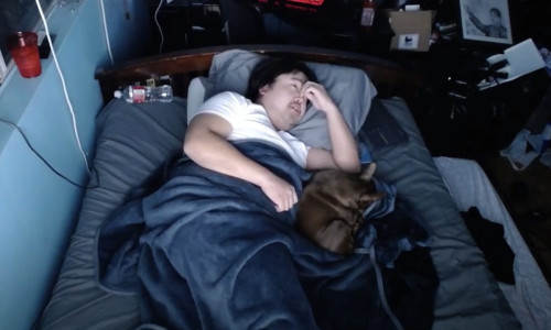 Influencer își transmite somnul pe Twitch