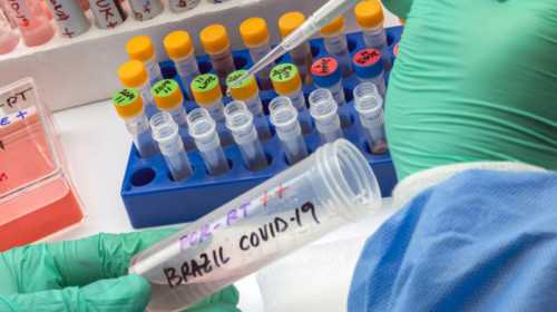 Tulpina braziliană de coronavirus, COVID-19, SARS-CoV-2