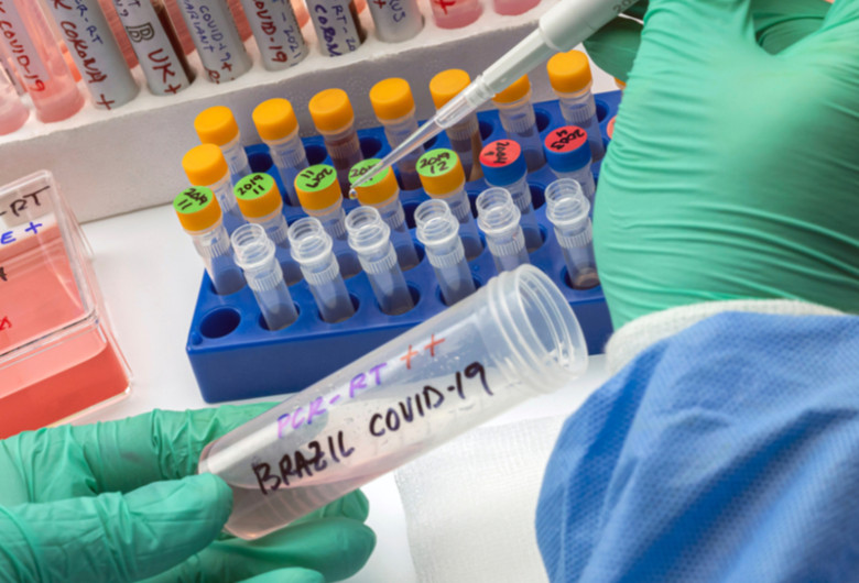 Tulpina braziliană de coronavirus, COVID-19, SARS-CoV-2