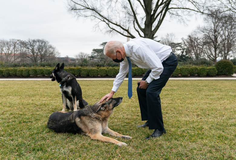 Joe Biden câini
