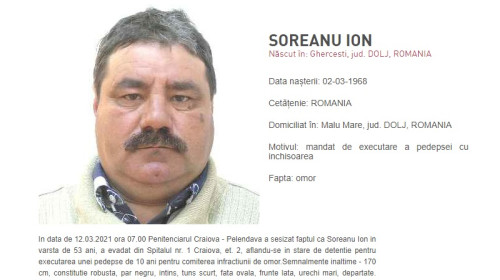 Ion Soreanu
