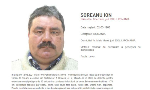 Ion Soreanu