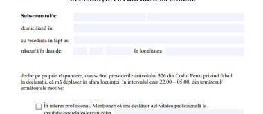 Declarație pe proprie răspundere