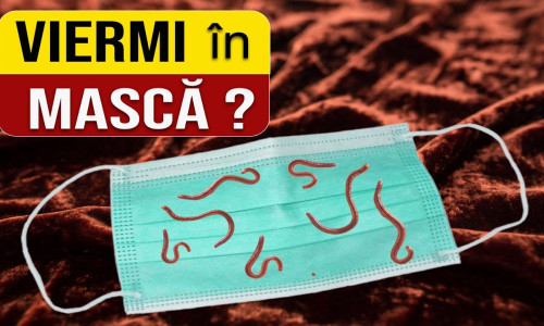 viermi masca. jpg