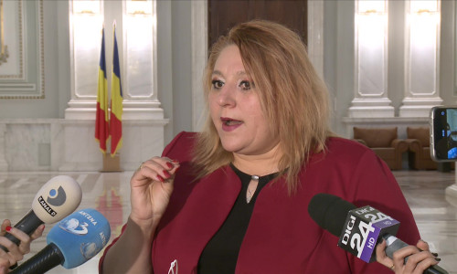 Diana Ivanovici Șoșoacă