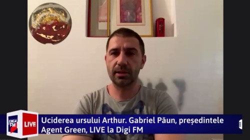 gabriel paun