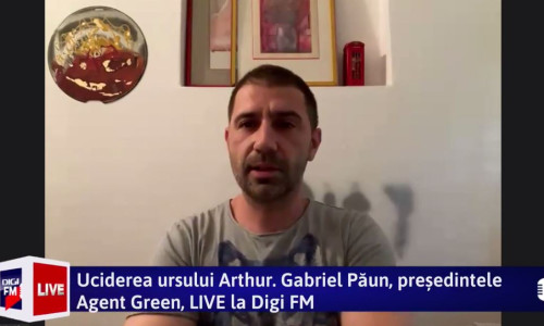 gabriel paun