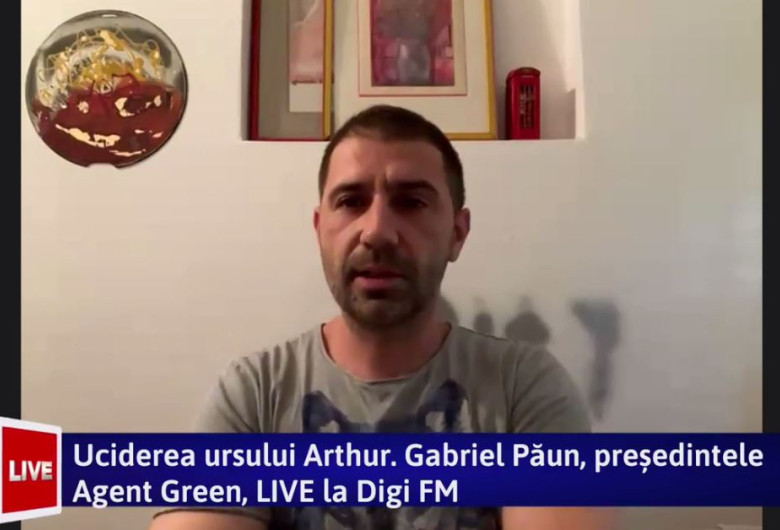 gabriel paun