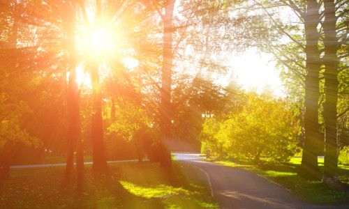 Vreme însorită, caldă, soare, vară, primăvară, parc, relaxare, natură