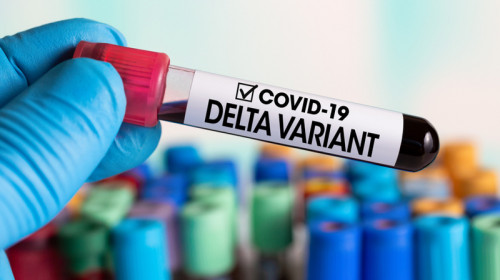 Coronavirus, COVID-19 în varianta Delta