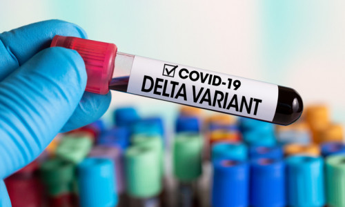 Coronavirus, COVID-19 în varianta Delta