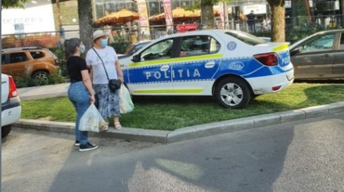 Mașină de poliție parcată pe iarbă