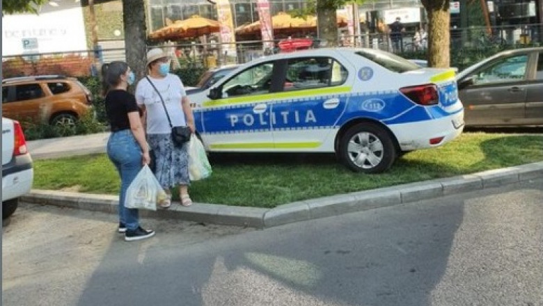 Mașină de poliție parcată pe iarbă
