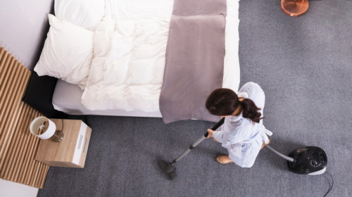 Menajeră, îngrijitoare, servitoare, femeie la curățenie, bonă, face curat prin casă, dă cu aspiratorul, activități casnice