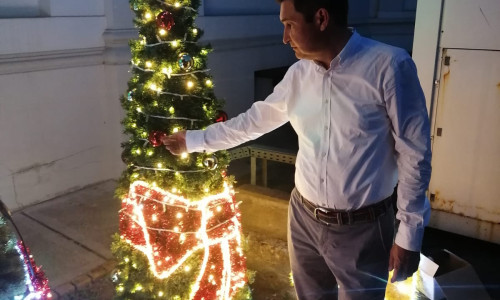 primar arad