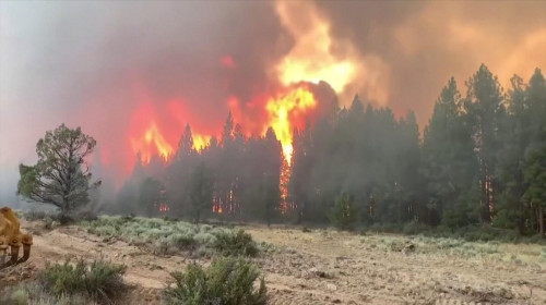 Incendii de pădure, foc, flăcări în pomi