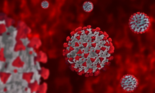 Coronavirus, COVID-19, SARS-CoV-2, tulpina