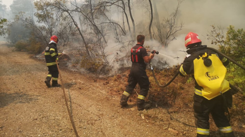 Pompieri români sting incendiile din Grecia, Evia