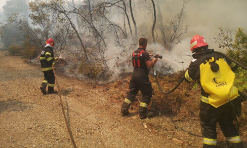 Pompieri români sting incendiile din Grecia, Evia